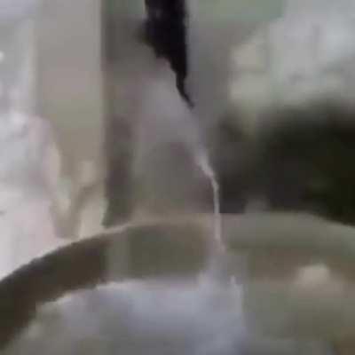 jakertown - Video #7841