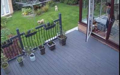 Mom said get inside!