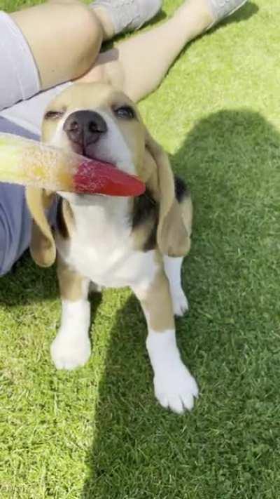 Ice lollies and sunshine!