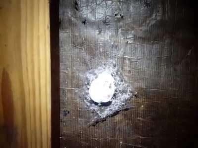 Australia is one big nope