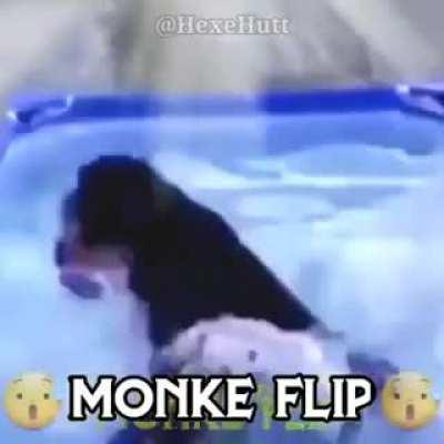 Monke flip ' - '