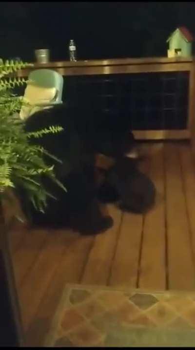 Mama bear scolds her cub for peeking into woman&rsquo;s window