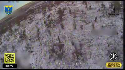 Ukraine's 118th Territorial Defense Brigade 