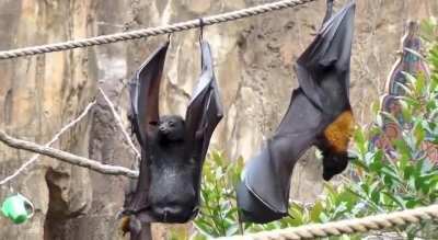 Yeah, you girls just wouldn’t understand peeing (It’s a guy thing 💪👊👌)