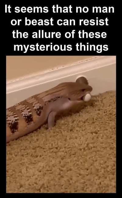 Hypnotic & Irresistible