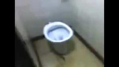 toilet