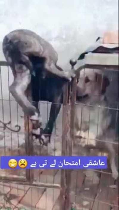 Берегите себя.