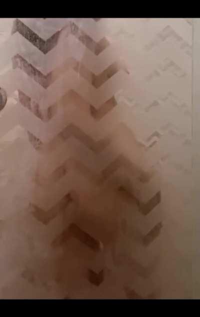 Should I call you into my shower? or are you shy?