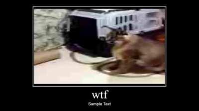 what happen to balon