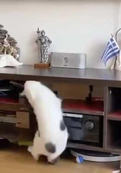 nightmares don’t stop the naps