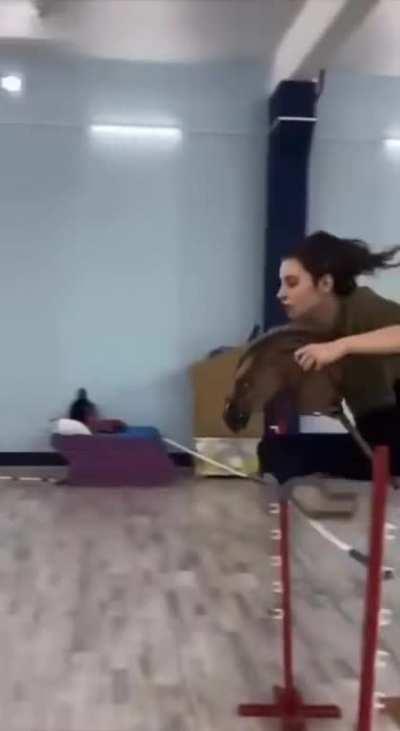 We can be horsies together