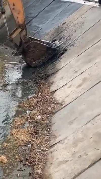Excavator operator saves a pup