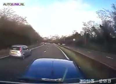 'ARE YOU FUCKING NUTS?'