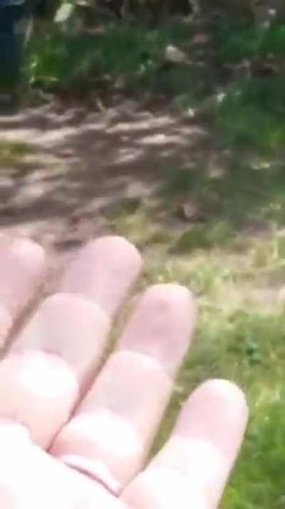 A mom who had lost her 4-year-old son to a brain tumor had something amazing happen when she visited his grave on the anniversary of his death.