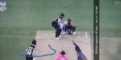 I felt it suits here!