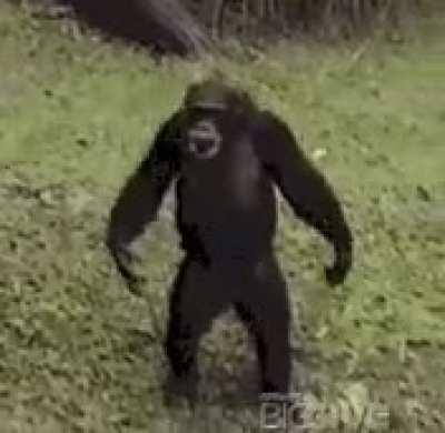 MRW I’m very drunk and my friend takes out a pack of cigarettes