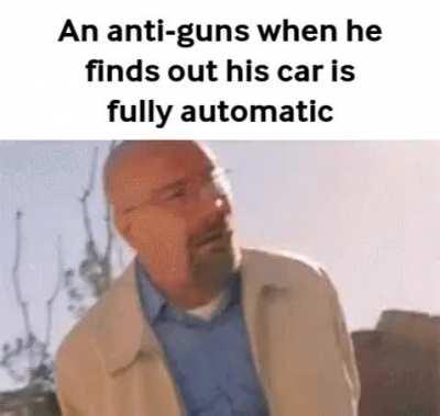 anti guns be like