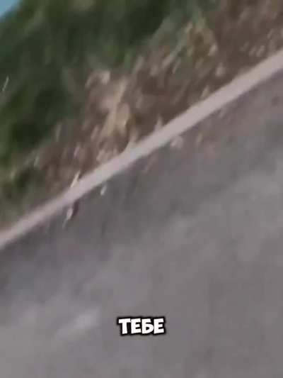 БраурСтраурс 👍🏻