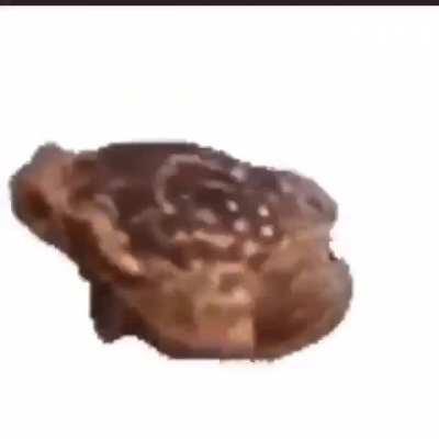 I've been posting this frog everywhere I can why not post it on the frog Subreddit