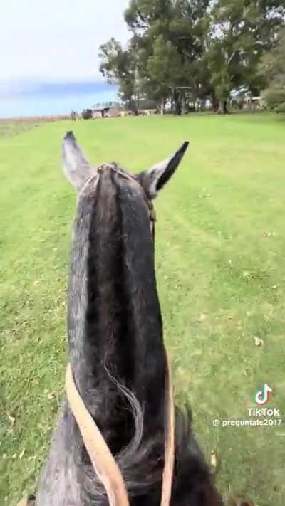 Mientras tanto, en la provincia de Buenos Aires