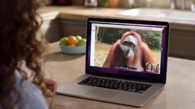 Ay virgencita quitame todo menos mi game pass we