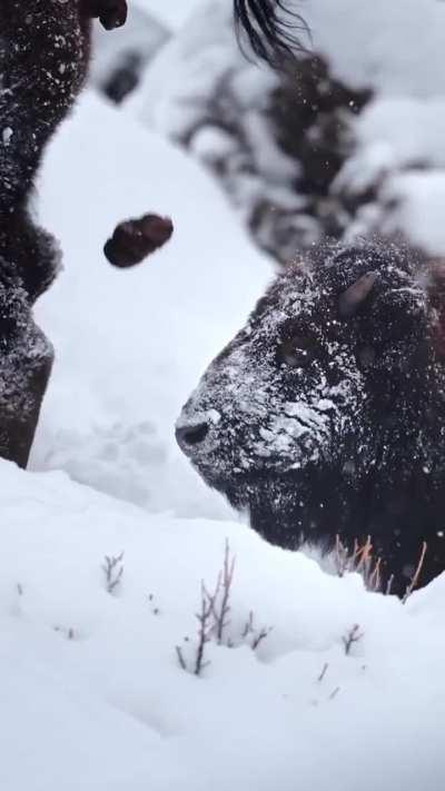 This is probably the golden moment the cameramen wanted😂