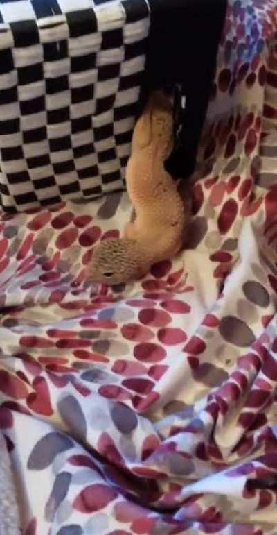 I turn around for one minute...