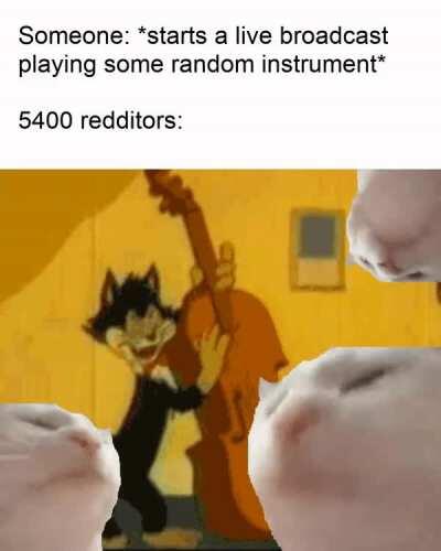 Some live broadcasts are super entertaining :)