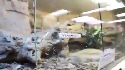 Why women live longer 