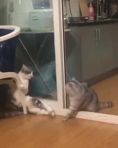 When you think the screen door is closed