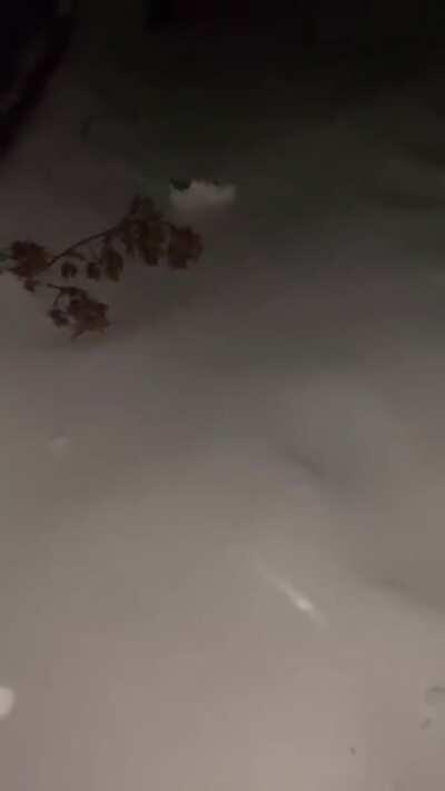 I lost it at my shoe