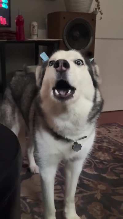 Punishment for trying to play a video game for more than 5 minutes.
