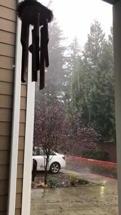 Downpour, Vancouver Wa