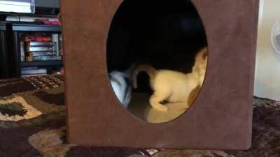 It’s a scary world out there!