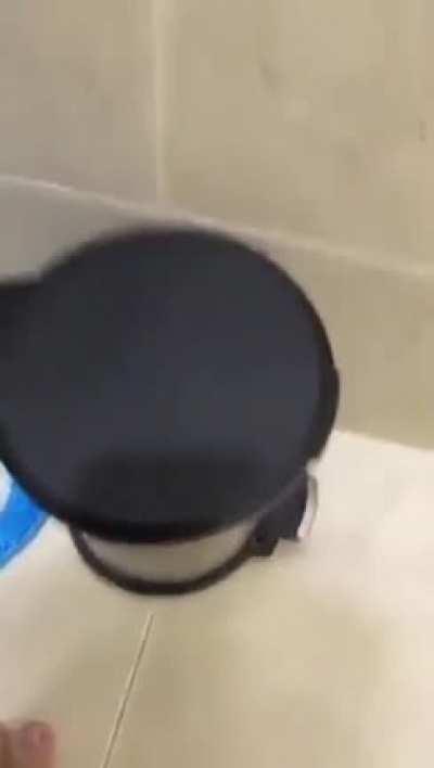 Cat Gets clINIcalLy DepRESseD, THINks HE's gaRBage