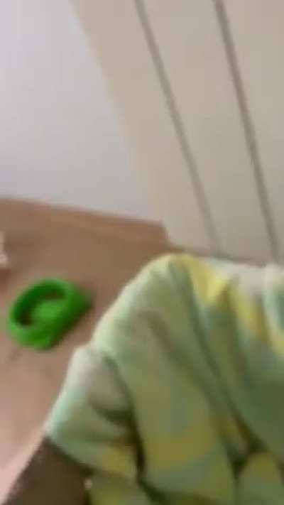 They came to my house to explore