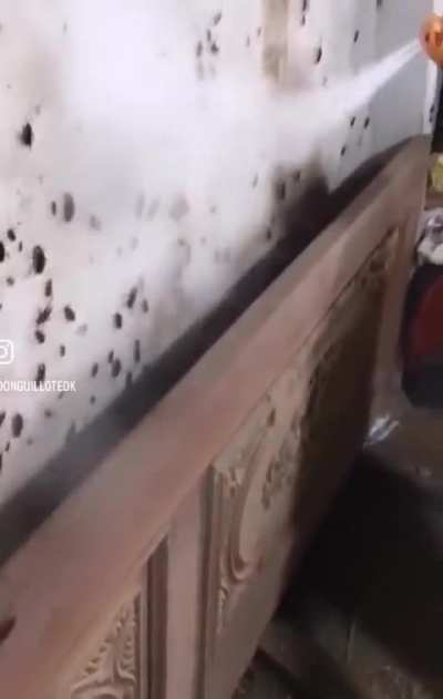 Yeah, better to just get a new house