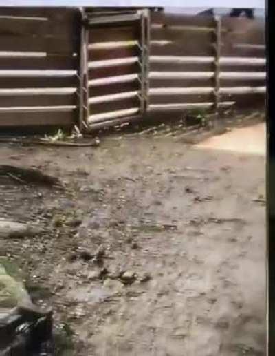 APD saves the person trapped in burning vehicle seconds before the cabin is engulfed in flames.