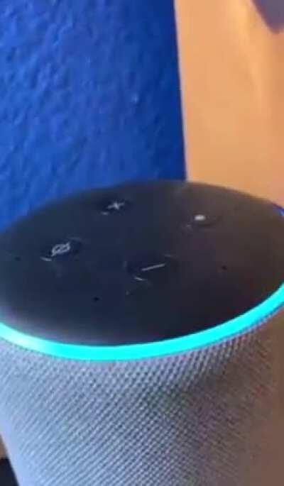 Essas configurações de fabrica tão estranhas MonkaS