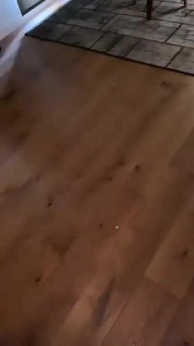 Taking us to the candy shop?