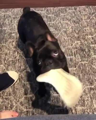 Project accomplished