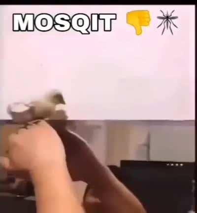 mosqit