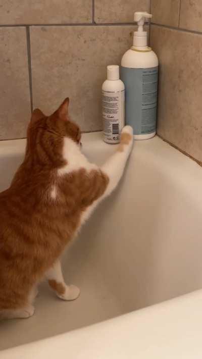 If only someone could have seen this coming