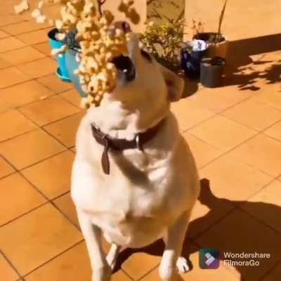 Missed. Every. Piece.