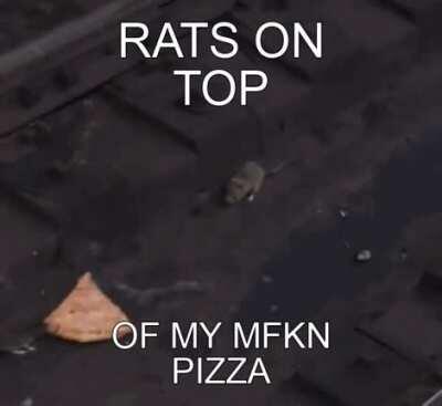 Pizza🍕Rat🐀