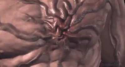 doodoofard - Video #5451