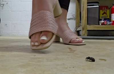 Too good not to share...