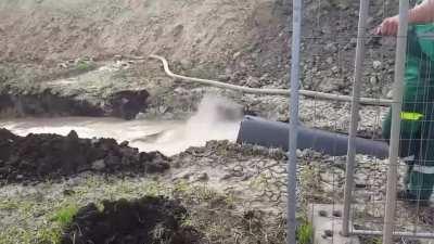 When you order suspiciously cheap food from a new untested eatery