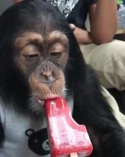 Обезьянка пробует мороженку