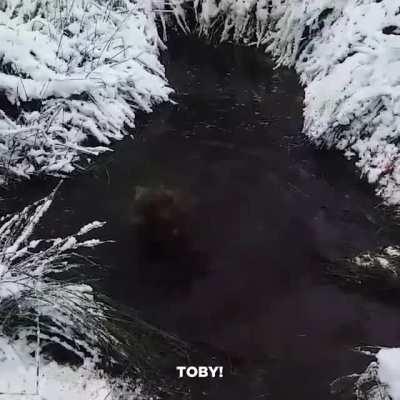 Let's go inside now. Dog.